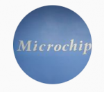 Micro Chip