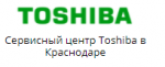 Обслуживание техники-Toshiba